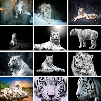 Bílý Tygr 5D DIY Diamantový Malování Drahokamu Umění Obrázek Cross Stitch Kit Full Diamond Výšivky Zvířata Mozaika Home Decor
